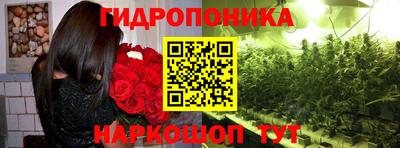 ешки Обь