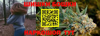шишки Обнинск