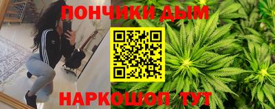 шишки Обнинск