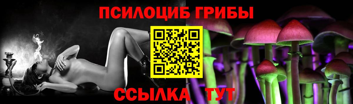 Галлюциногенные грибы GOLDEN TEACHER  Вход с VPN  Галлюциногенные грибы прущие грибы  где купить наркоту  Павловский Посад 